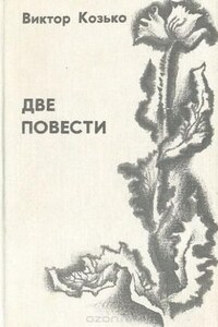 Повесть о беспризорной любви