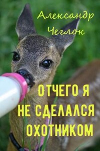 Отчего я не сделался охотником