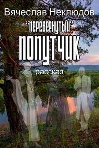 Перевернутый попутчик