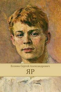 Проза Сергея Есенина: Яр; У Белой воды; Бобыль и Дружок; Железный Миргород