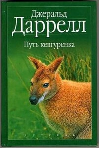 Путь кенгуренка