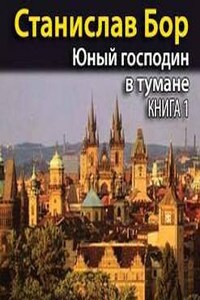 Юный господин в тумане. Книга 1