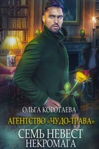 Агентство «Чудо-трава»: 2. Семь невест некромага