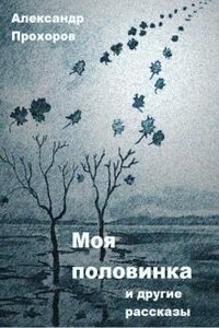 Моя половинка и другие рассказы