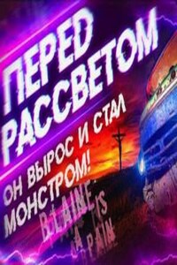 Перед рассветом