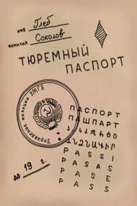 Тюремный паспорт. Часть 5 (21-25)