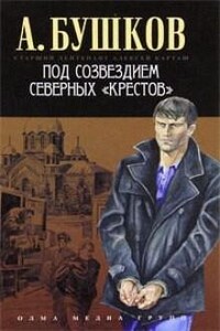 Шантарский цикл. Алексей Карташ: 5.4. Под созвездием северных Крестов