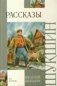 Сборник рассказов. Экзамен. Критики