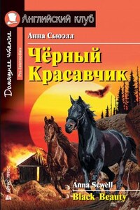 Черный Красавчик