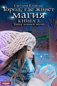 Город, где живёт магия 3. Тайна зимней ночи