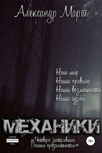 Механики. Том 9. Четверо застрявших. Поиски продолжаются