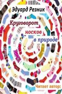 Круговорот носков в природе