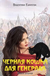 Чёрная кошка для генерала. Том 2