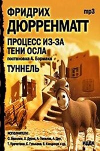Сборник: Процесс из-за тени осла. Туннель