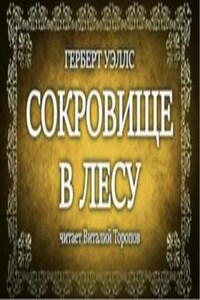 Сокровище в лесу